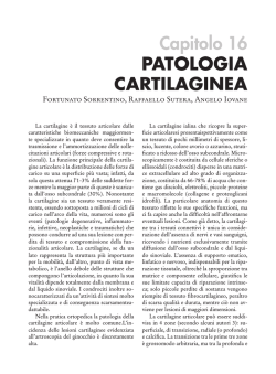 Patologia cartilaginea. Principi di diagnostica per immagini in