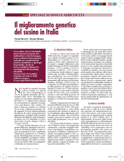 Il miglioramento genetico del susino in Italia