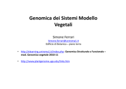 Lezione genomi vegetali - e