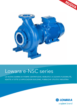 Lowara e-NSC series