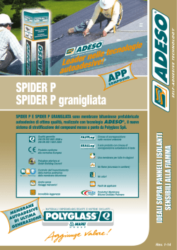 SPIDER P SPIDER P granigliata