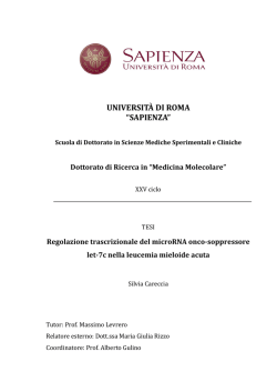 Tesi di dottorato Silvia Careccia 14-2-13