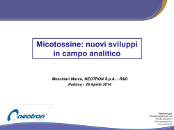Presentazione Dr. Meschiari - Neotron spa