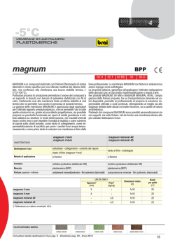 Magnum -5°C - Rappresentanze Granata Sas
