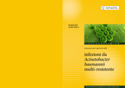 infezioni da Acinetobacter baumannii multi-resistente