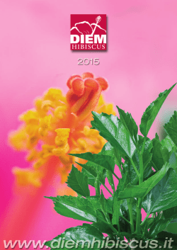 2015 hibiscus