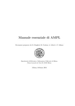 Manuale essenziale di AMPL - Politecnico di Milano-DEIB