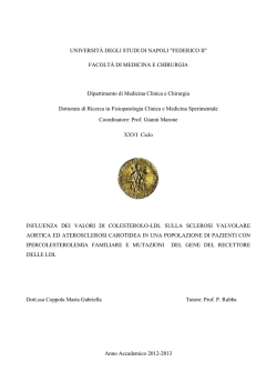 Download (317kB) - Università degli Studi di Napoli Federico II