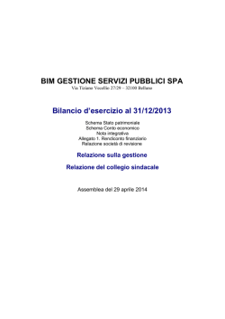 Bilancio al 31/12/2013 - Bim Gestione Servizi Pubblici