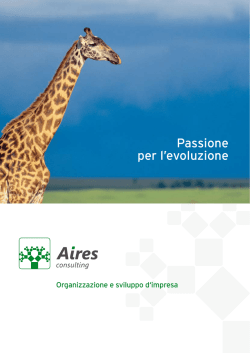 brochure - Aires Consulting