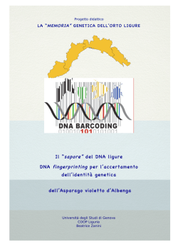 DNA fingerprinting asparago violetto - CusTAG