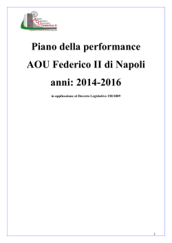 Piano della performance 2014-2016