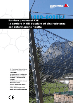Barriere paramassi RXE (PDF)