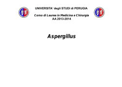 01.aspergillus - Università degli Studi di Perugia