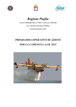 Programma Operativo AIB 2014 - Protezione Civile