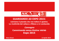 GUARDANDO AD EXPO 2015: Expo 2015
