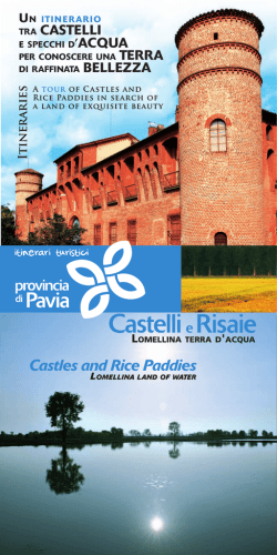 Castles and Rice Paddies - Itinerari Turistici