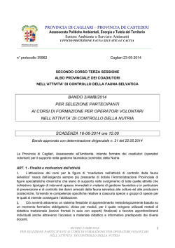 bando in formato pdf - Provincia di Cagliari
