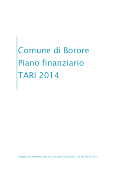 Comune di Borore Piano finanziario TARI 2014