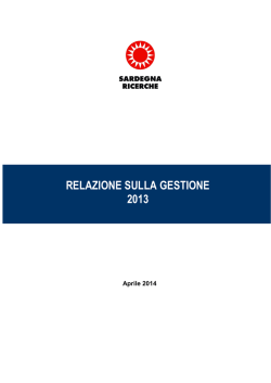 Relazione sulla gestione 2013 [file]