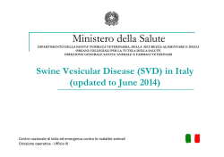 Swine Vesicular Disease