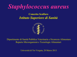 Stafilococcus aureus