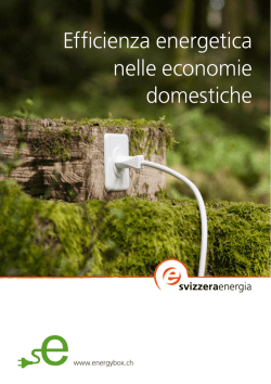 Efficienza energetica nelle economie domestiche