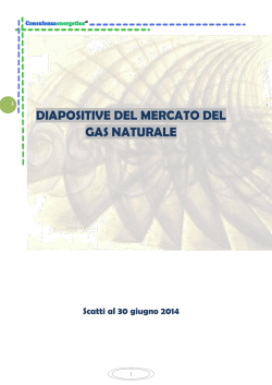 Dispositive del mercato del gas naturale. Ing. Paolomassimo Orsini