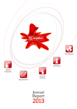 Amplifon Annual Report 2013