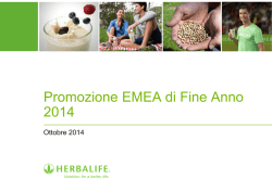 EMEA 2014 Year End Promotion