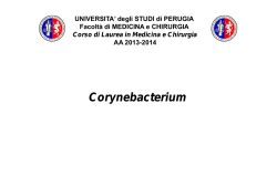 07.corynebacterium - Università degli Studi di Perugia