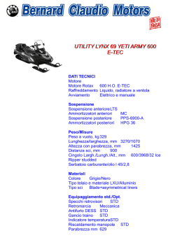 UTILITY LYNX 69 YETI ARMY 600 E-TEC