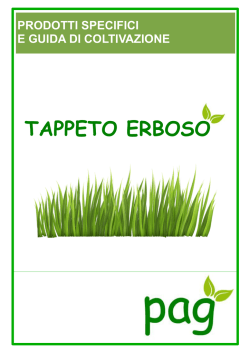 TAPPETO ERBOSO - Pierucciagricoltura.it