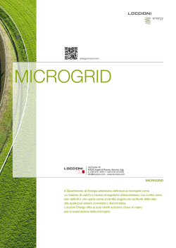 MICROGRID - Loccioni Energy