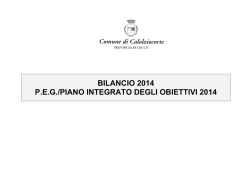 BILANCIO 2014 P.E.G./PIANO INTEGRATO DEGLI OBIETTIVI 2014