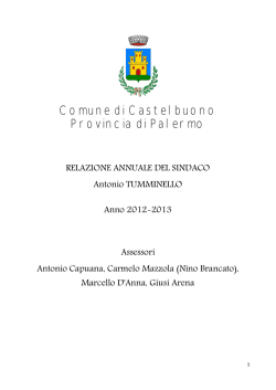 relazione-annuale-2012-2013-sindaco-tumminello