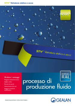 STV (2.45 Mb) - Domex Italia