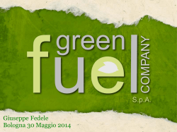 Giuseppe Fedele, Green Fuel Company