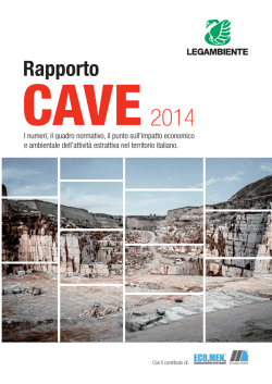 Rapporto Cave 2014