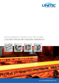 special bearings for iron and steel works cuscinetti - ICB-USA