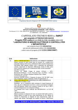 CAPITOLATO TECNICO RDO n. 560927 - IIS IPSIA