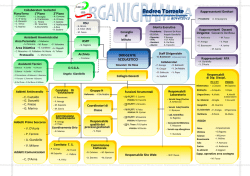 organigramma Torrente 2014-2015