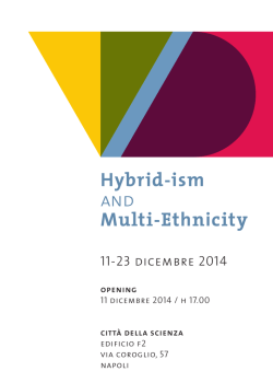Hybrid-ism and Multi-Ethnicity