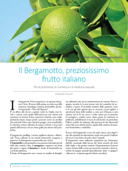 Il Bergamotto, preziosissimo frutto italiano