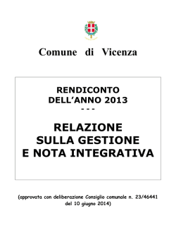 Relazione sulla Gestione 2013 e nota integrativa in formato