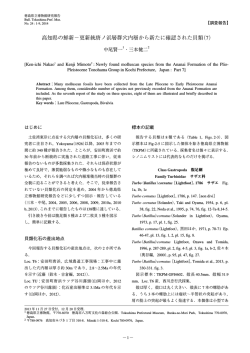 PDF形式 - 徳島県立博物館