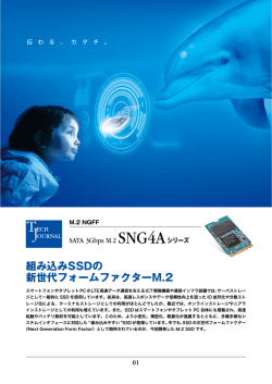 組み込みSSDの 新世代フォームファクターM.2