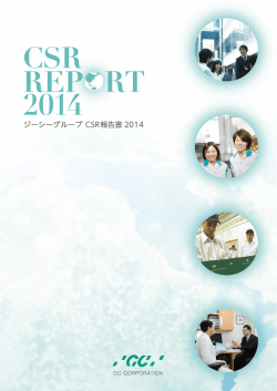 CSR REP RT 2014