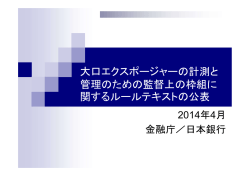 本件等に関する金融庁・日本銀行作成説明資料（PDF：185KB）