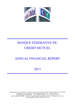 banque federative du credit mutuel annual financial report 2013